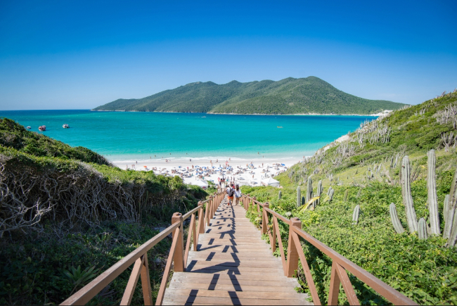 Photo: Scarlette Rojas / Shutterstock.com