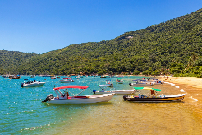 Photo: Arkadij Schell / Shutterstock.com