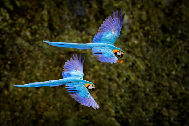 Photo: Ondrej Prosicky / Shutterstock.com