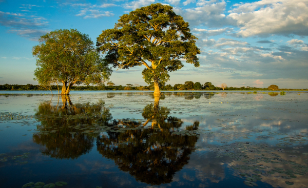 Photo: Claudio Frateschi / Shutterstock.com
