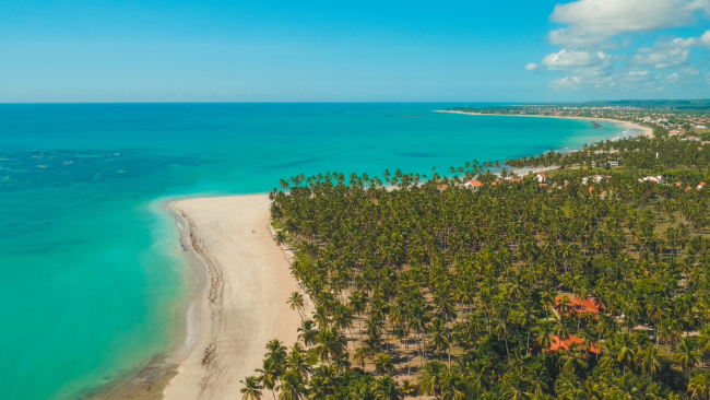 Photo: Raphael de Barros Lima / Shutterstock.com