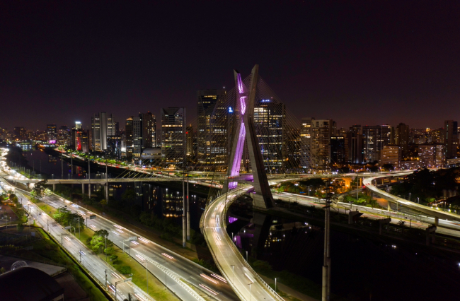 Photo: Paulo Vilela / Shutterstock.com