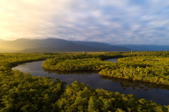 Photo: Gustavo Frazão / Shutterstock.com
