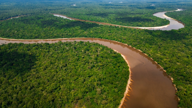 Photo: Gino Tuesta / Shutterstock.com