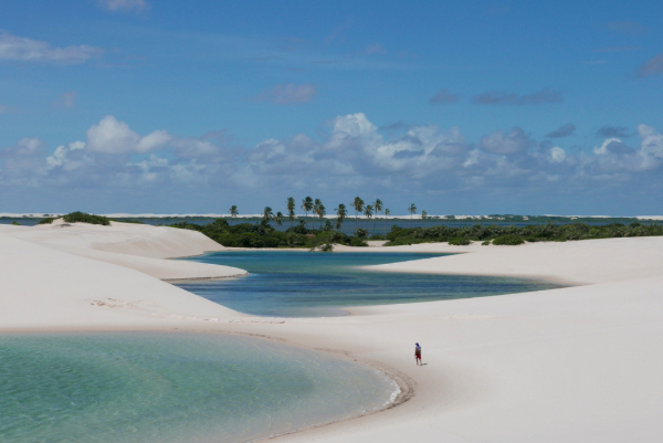 Photo: Marcos Velloso / Shutterstock.com