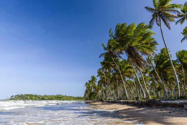 Photo: Vitor Marigo / Shutterstock.com