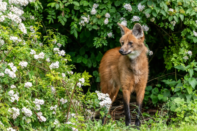 Photo: Benjamin B / Shutterstock.com