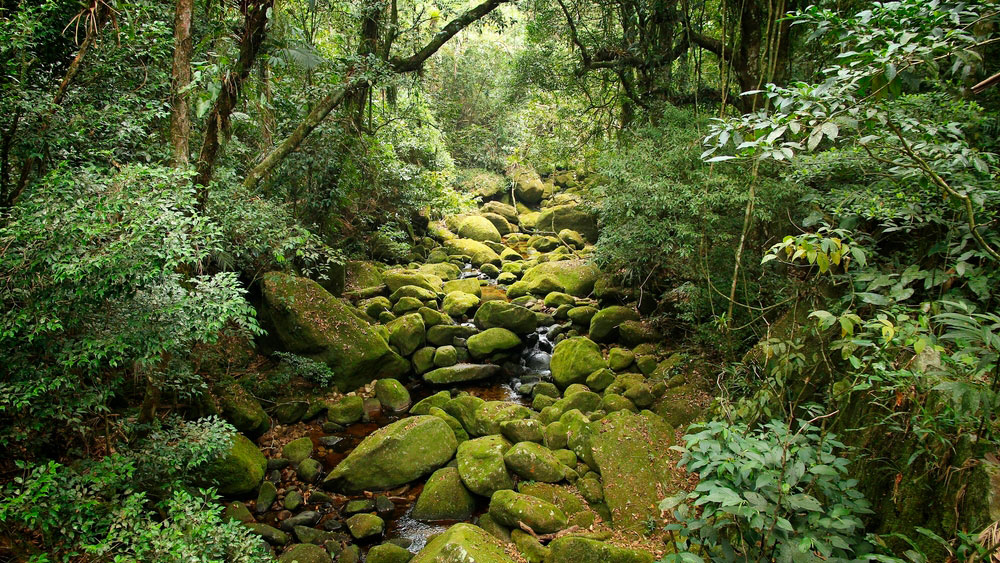 Photo: Tupungato / Shutterstock.com