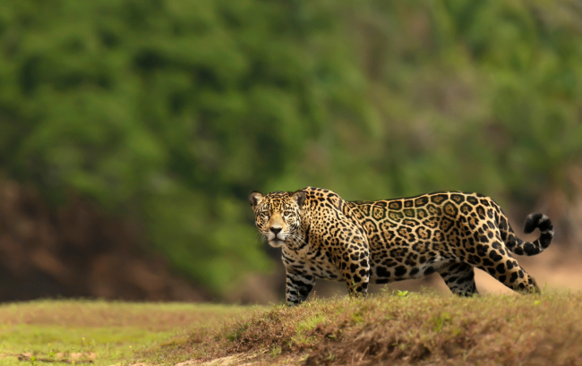 Photo: Giedriius / Shutterstock.com