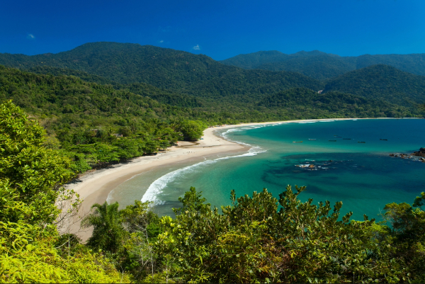 Photo: Marcio Pascale / Shutterstock.com