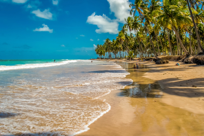 Photo: Marcos Mello / Shutterstock.com