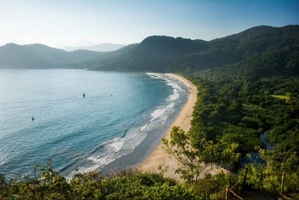 Photo: vitormarigo / Shutterstock.com