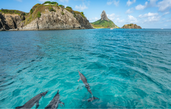 Photo: Paula Montenegro / Shutterstock.com
